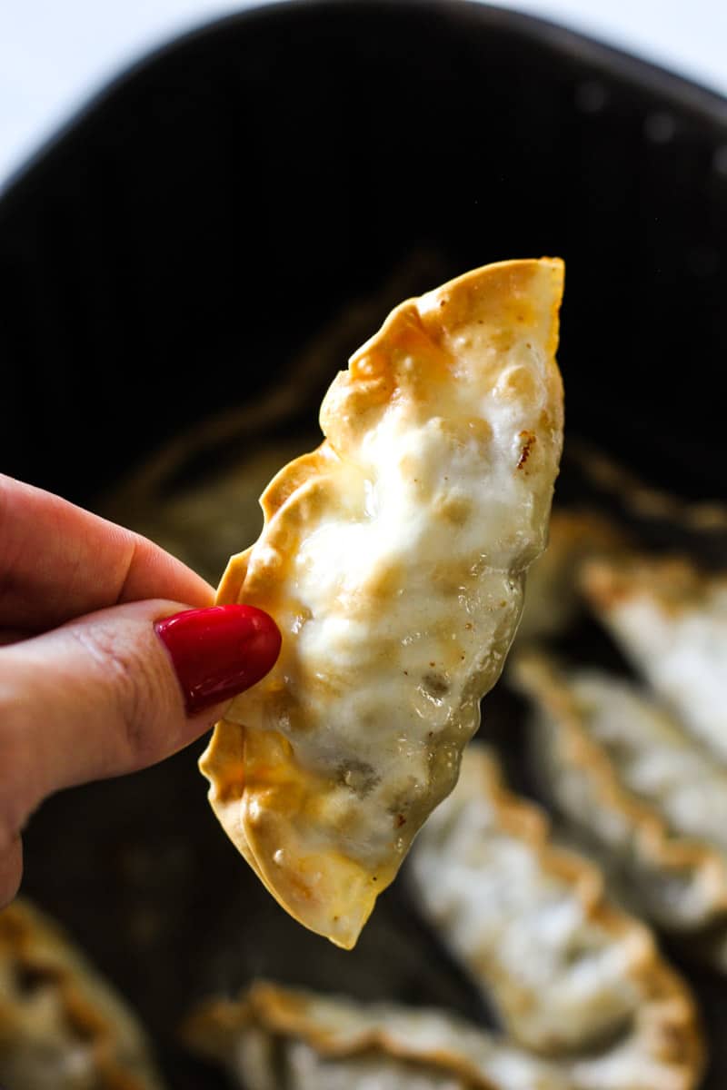 Air Fryer Mandu Air Fryer Chicken Recipes