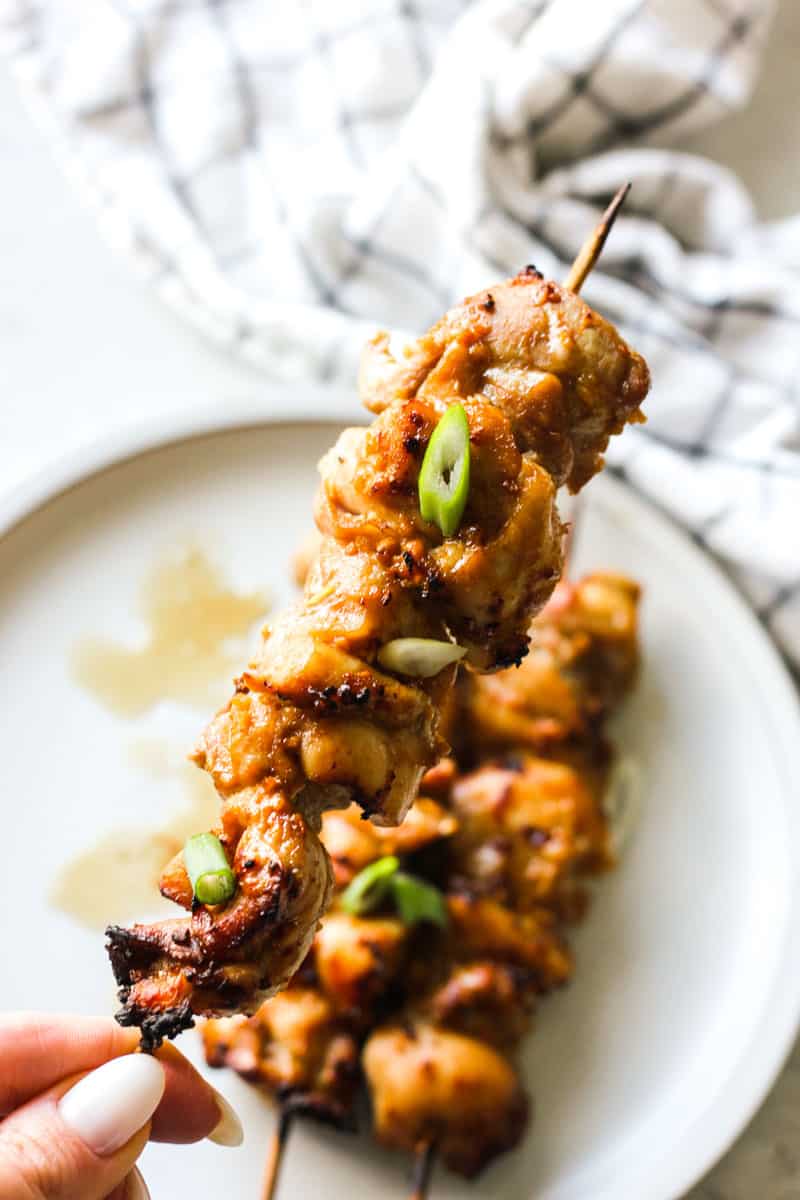 holding chicken yakitori in hand